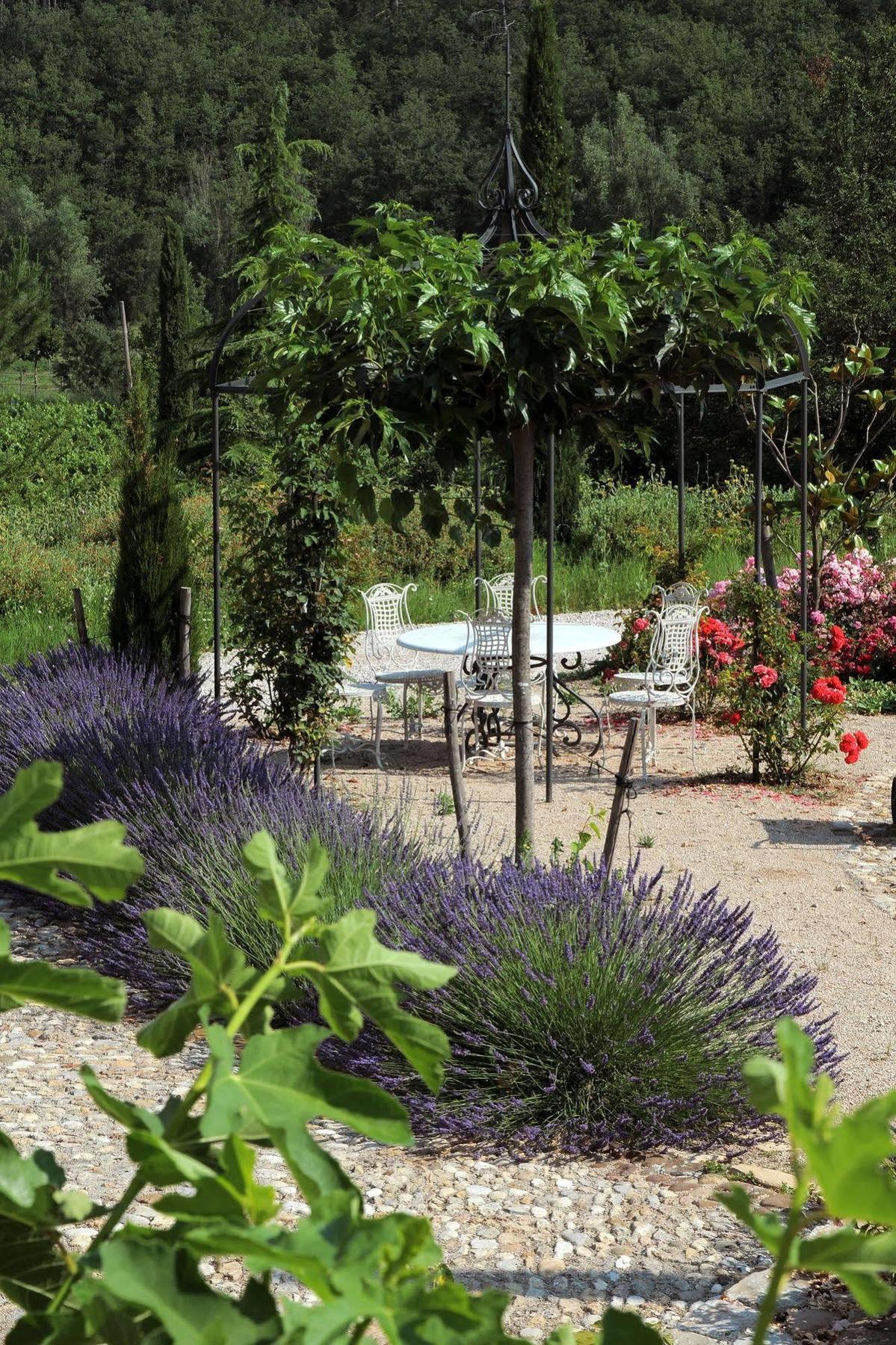 Une Campagne En Provence Bras エクステリア 写真